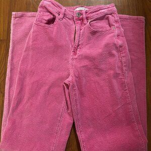 Pacsun '90s Boyfriend Corduroy Pant